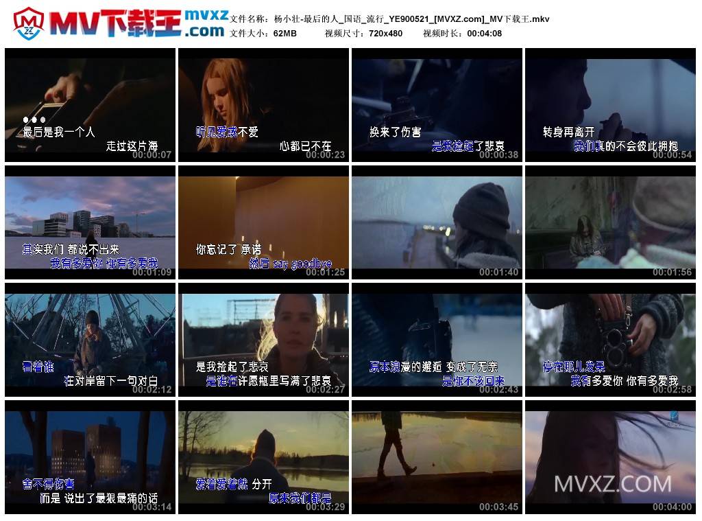 杨小壮-最后的人_国语_流行_YE900521